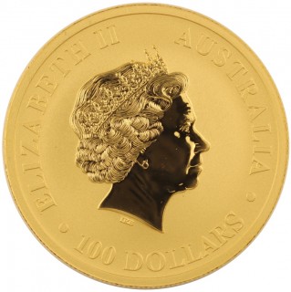Złoty Australijski Kangur